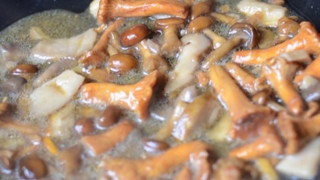 Курица в соусе из лисичек
