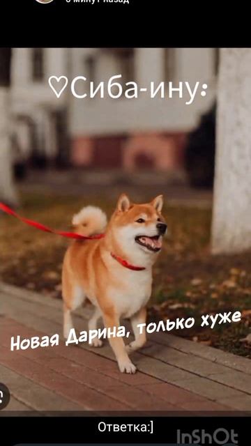 Вот, ник в описании