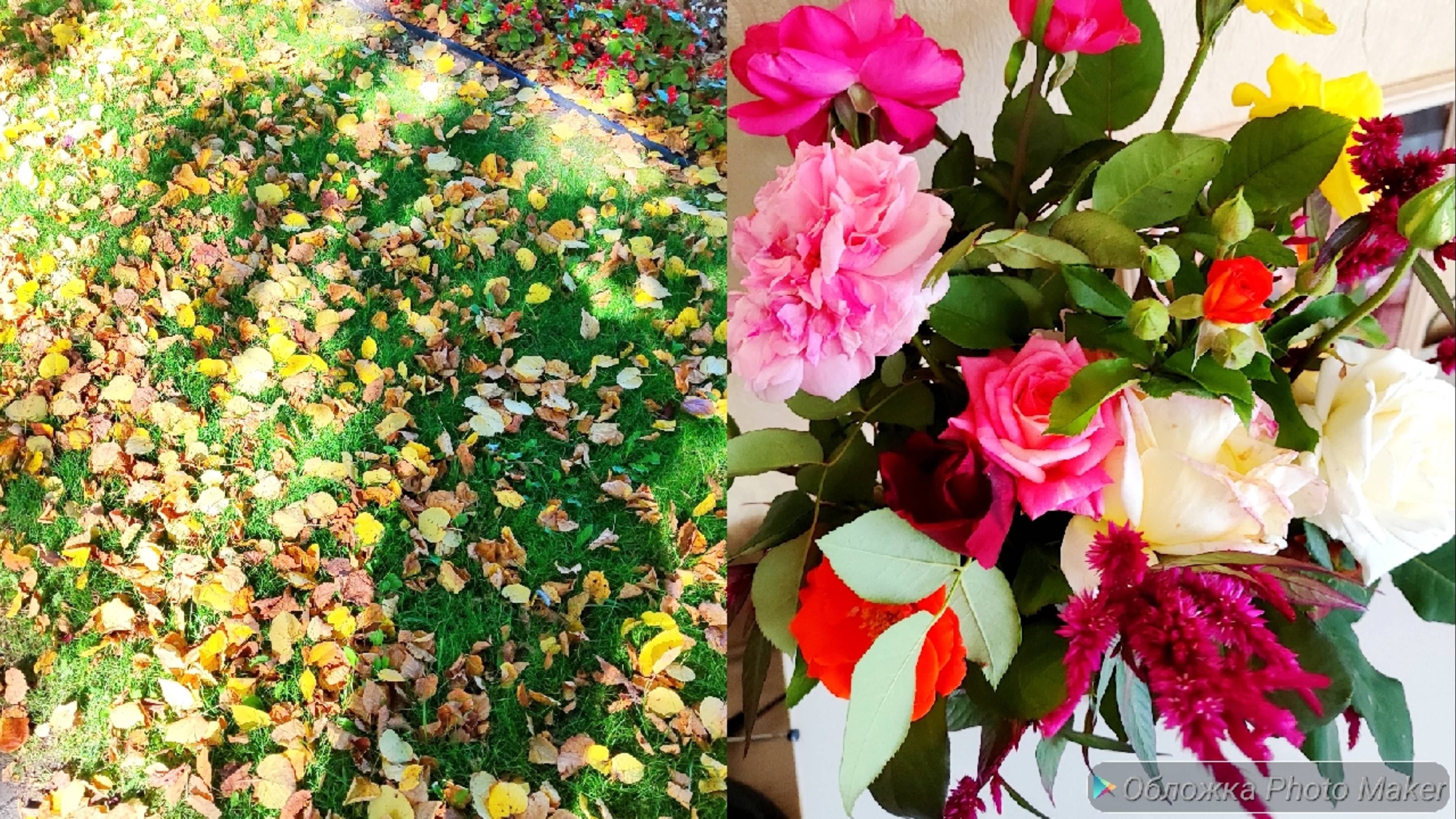 О ремонте/самая лёгкая запеканка/ осенние настроения