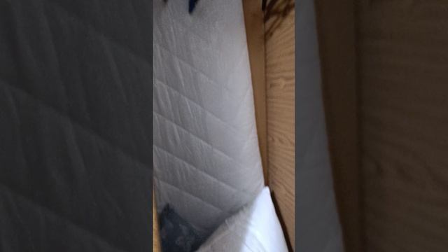 1000044203.mp4