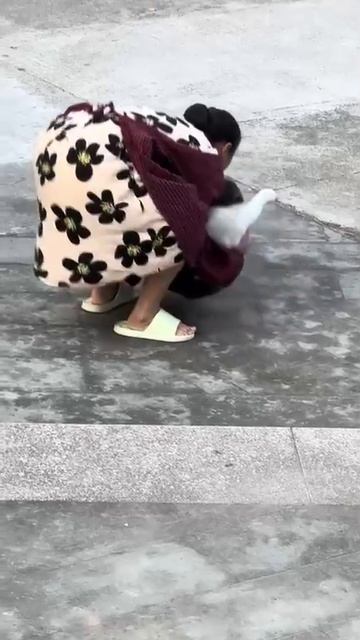 Смешные Shorts