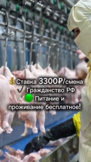 Работа