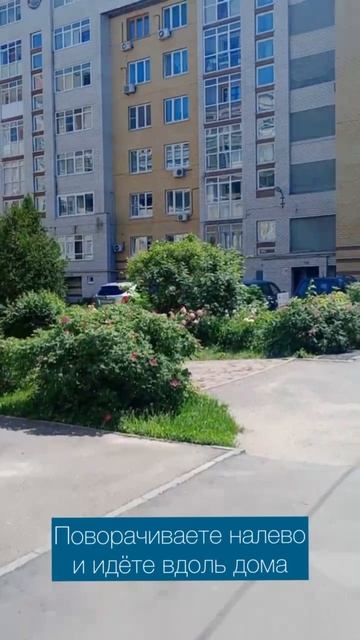 Видео-подсказка Как нас найи