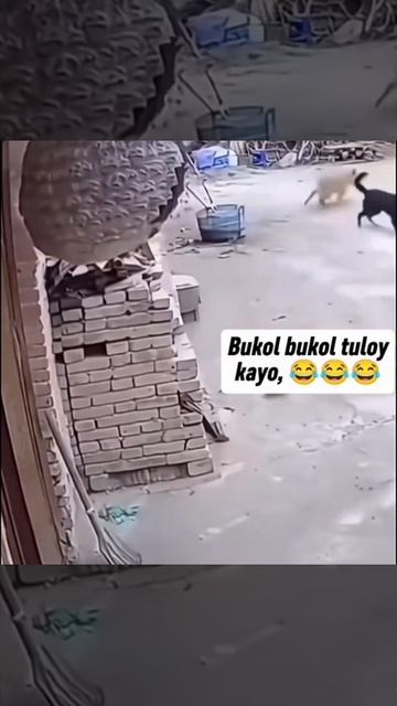 Когда скучно