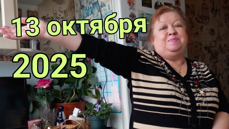 13 октября 2025. Надеждины покупки.
