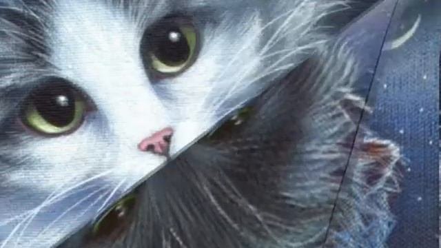 Наши с тобой коты неписанной красоты!!!.wmv