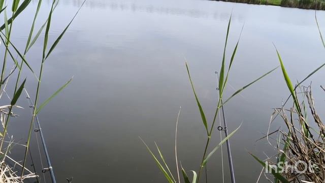 1000098928.mp4