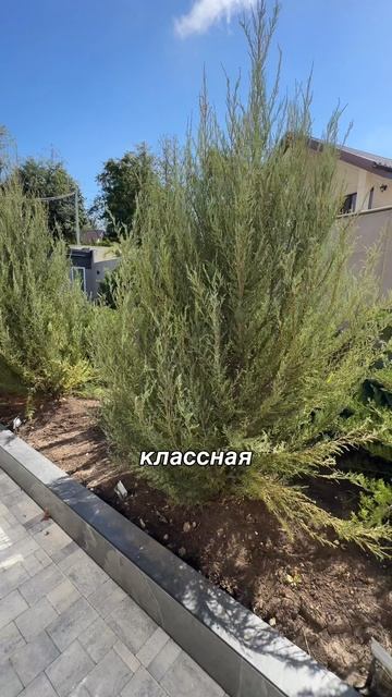 Одноэтажный дом | Красивый проект одноэтажного дома 250 м2
