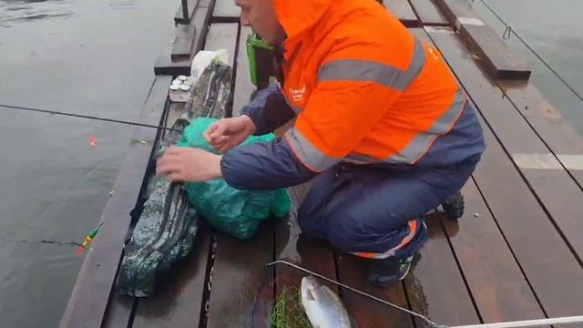 Утро на водоёме