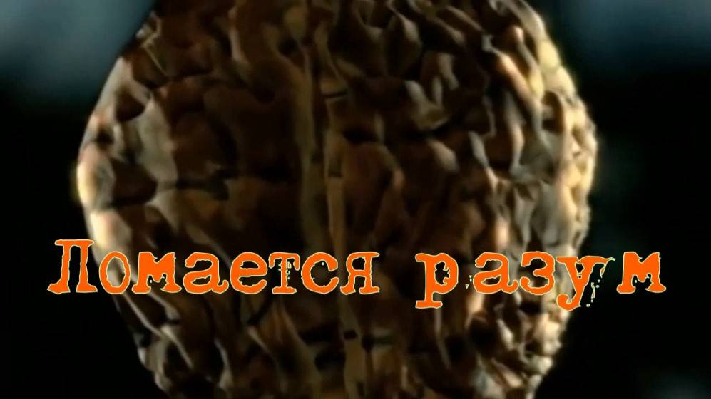 Ломается разум. Стихи, монтаж и генерация звука в ИИ - Е.Доставалов