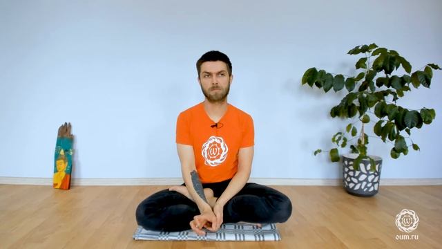 Лекция Работа в асанах. Проект Йогаволна