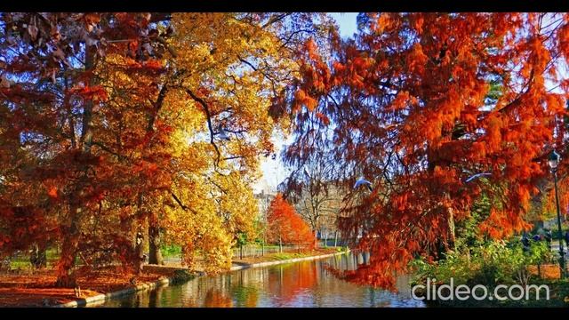 Le Royaume D'Automne