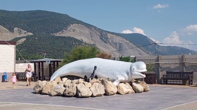 Video_2025-08-11_13-34-12