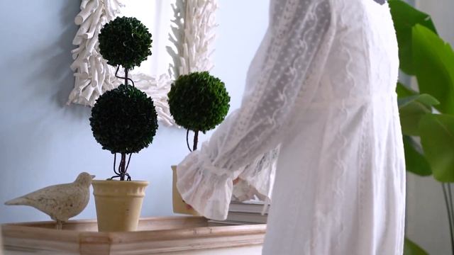 29397 Растение декоративное Самшит 15х15х36см Glasar
