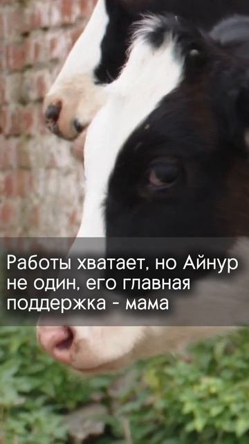 Из города на малую родину: история Айнура Мингазова который нашел свое призвание в фермерстве