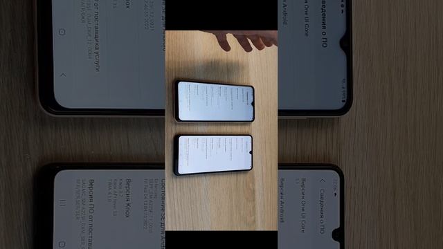 6087.mp4