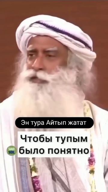 Гармония