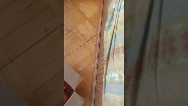 1000017078.mp4