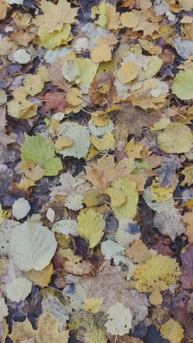 12.10.25