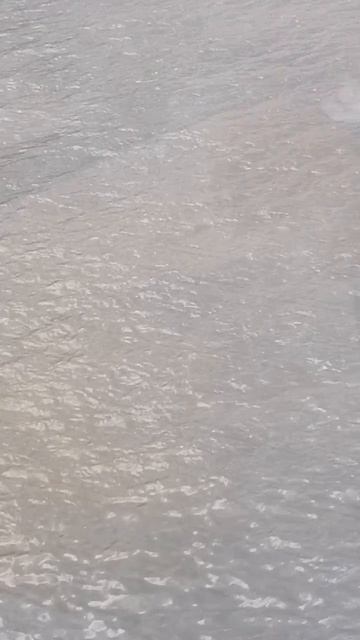 2 октября. 2025г.