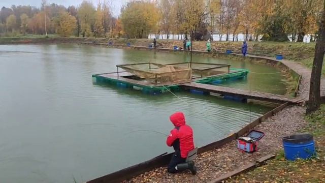 WhatsApp Video 2025-10-13 At 09.38.26
