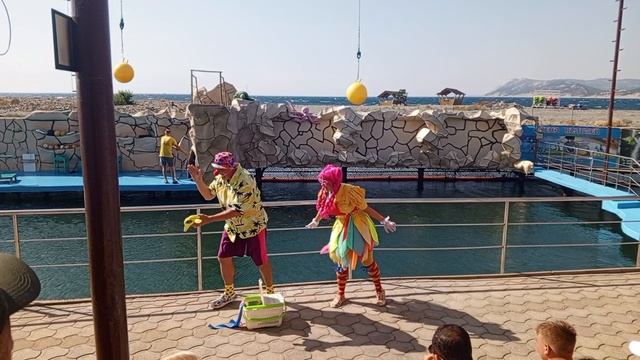 Video_2025-08-11_13-32-04