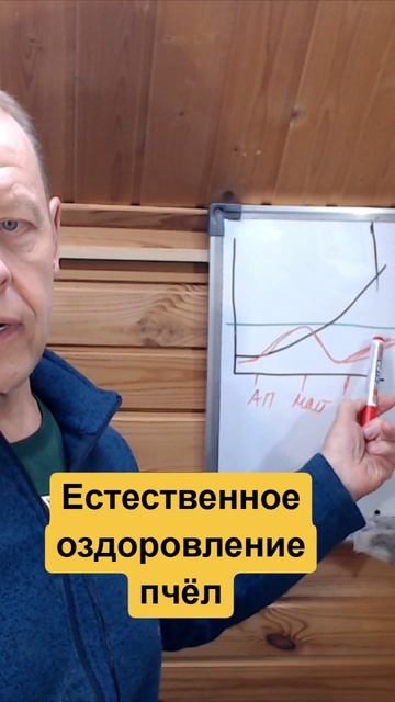 Безрасплодный период как естественный способ борьбы с клещом варроа