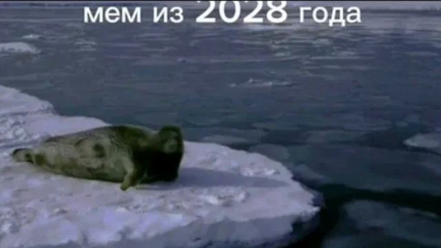 4 мема