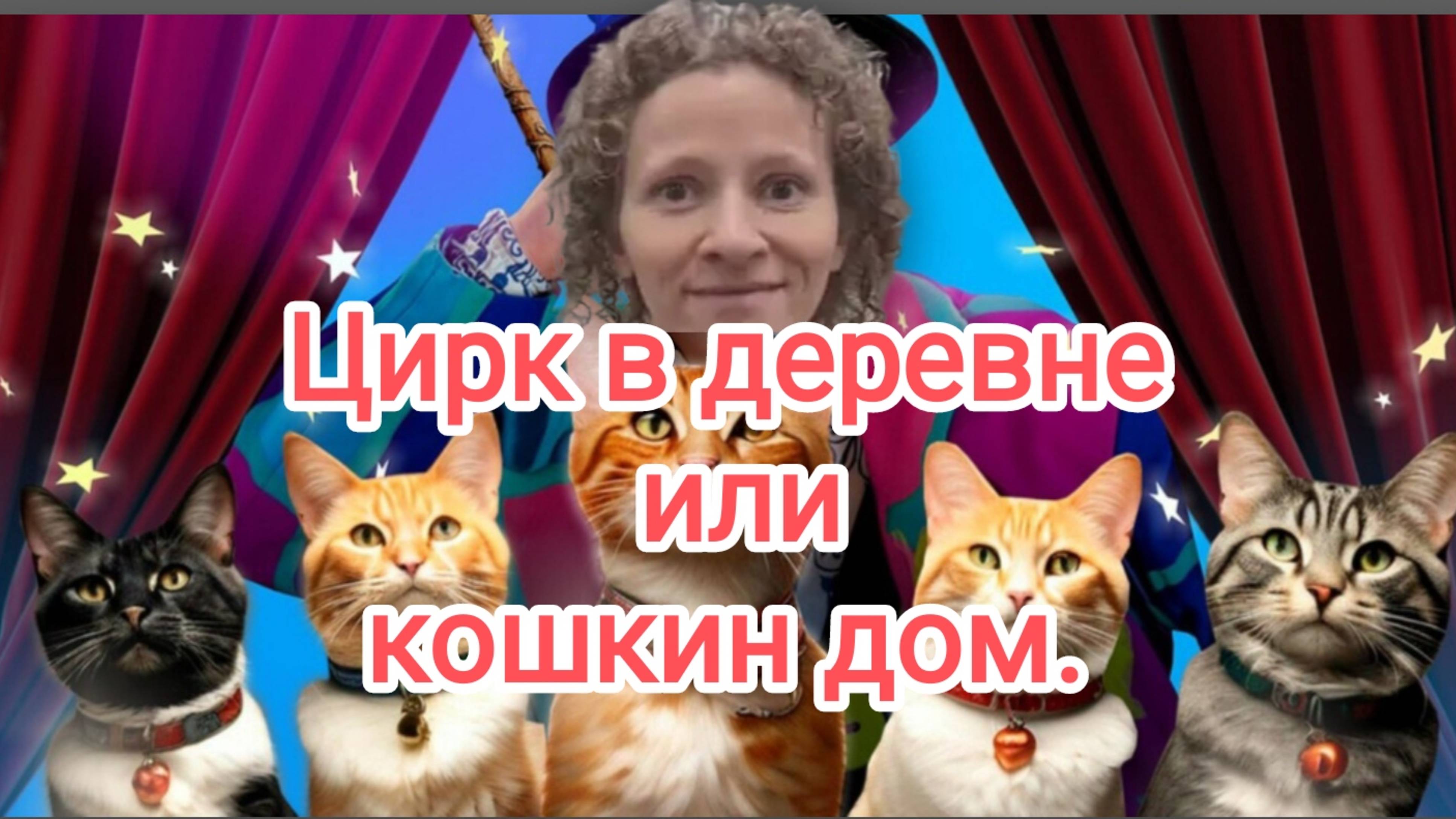 Цирк в деревне или кошкин дом