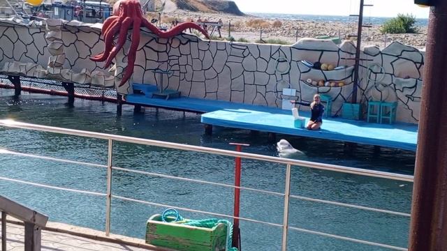 Video_2025-08-11_13-33-02