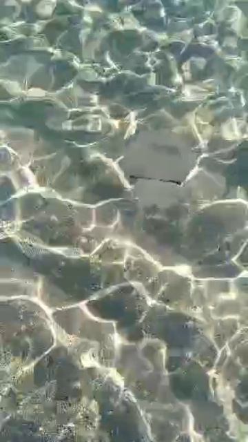 1000032770.mp4