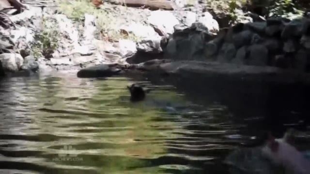 1000049765.mp4