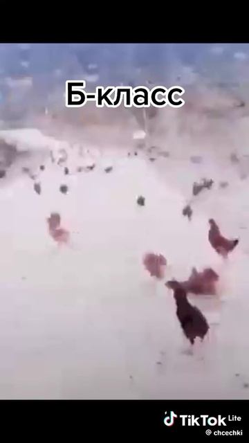 похоже на меня