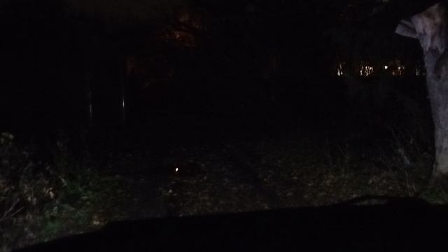 1000013534.mp4