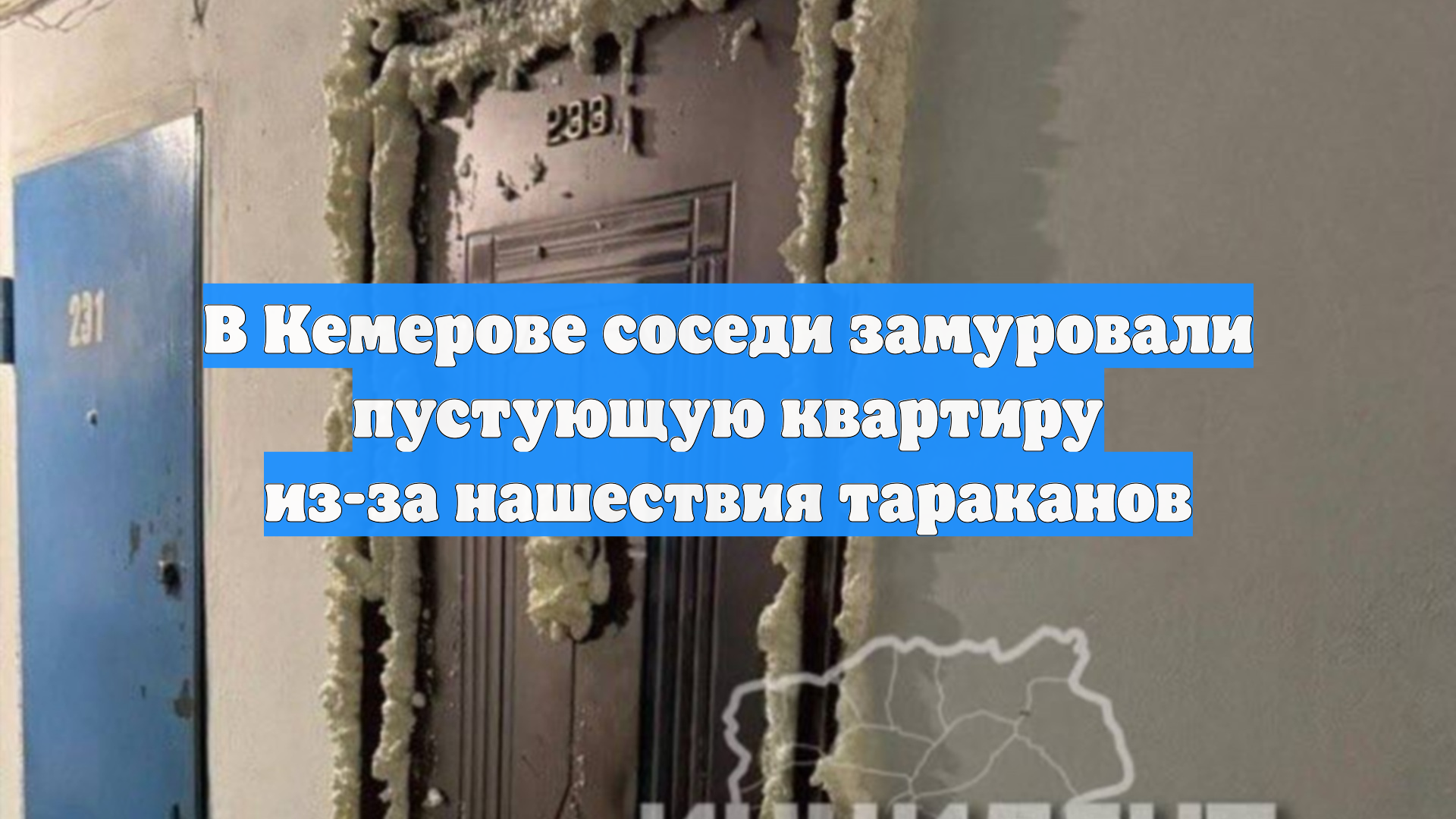 В Кемерове соседи замуровали пустующую квартиру из-за нашествия тараканов