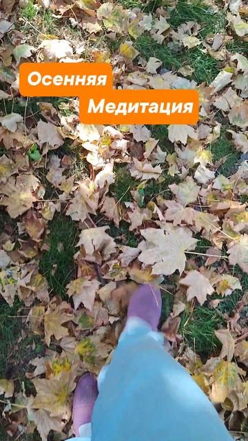 Осенняя медитация