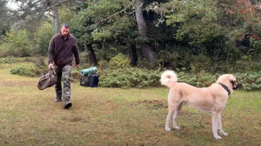 Кемпинг в палатке под проливным дождём! - Попал под дождь со своей собакой!