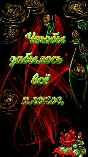 Video_9459187193246.mp4