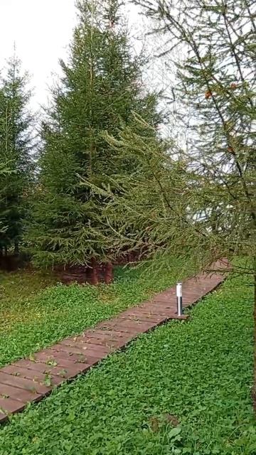 1000113349.mp4