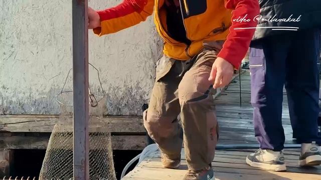 1000085478.mp4