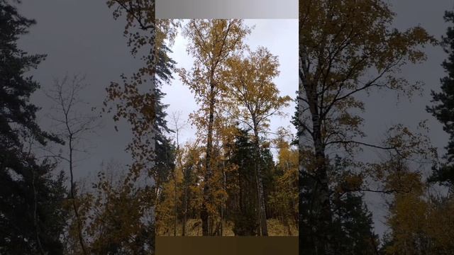 1000034248.mp4