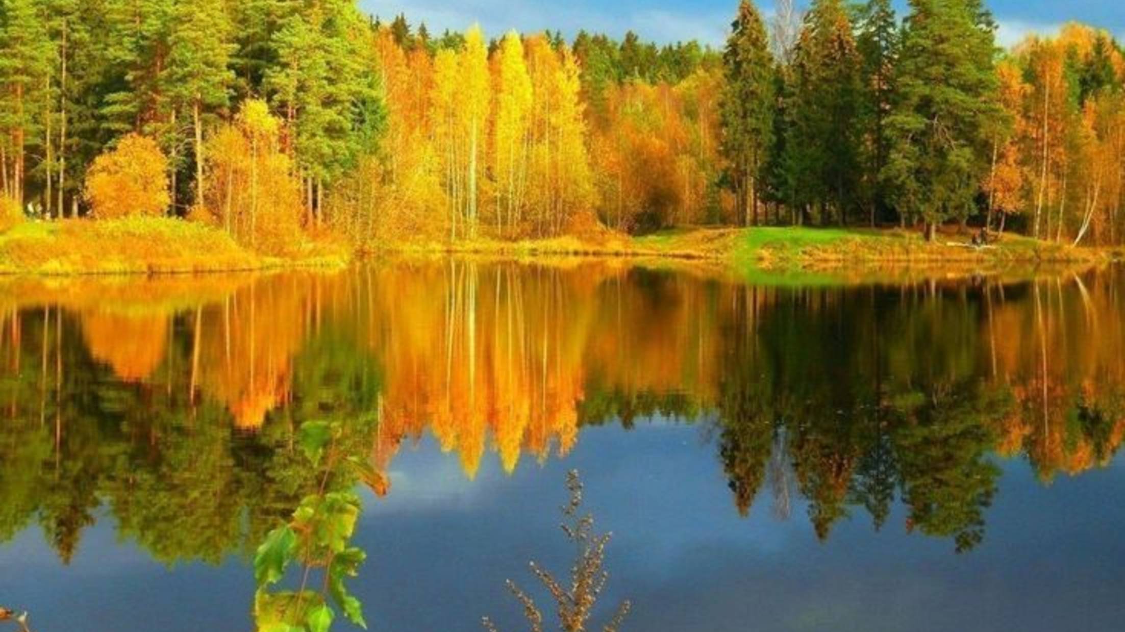 ГУЛЯЕТ ОСЕНЬ В ТИШИНЕ