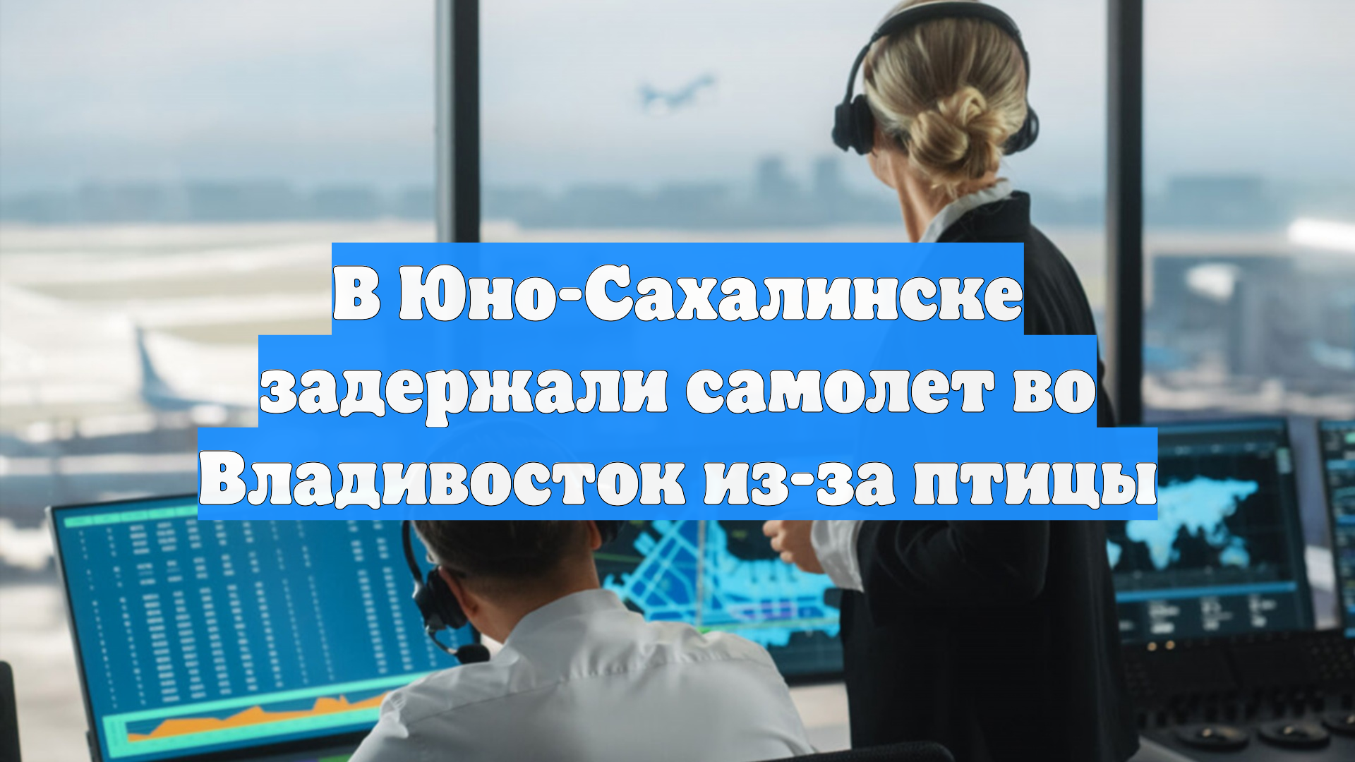 В Юно-Сахалинске задержали самолет во Владивосток из-за птицы