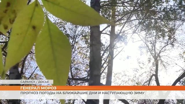 Прогноз погоды на ближайшие дни и наступающую зиму