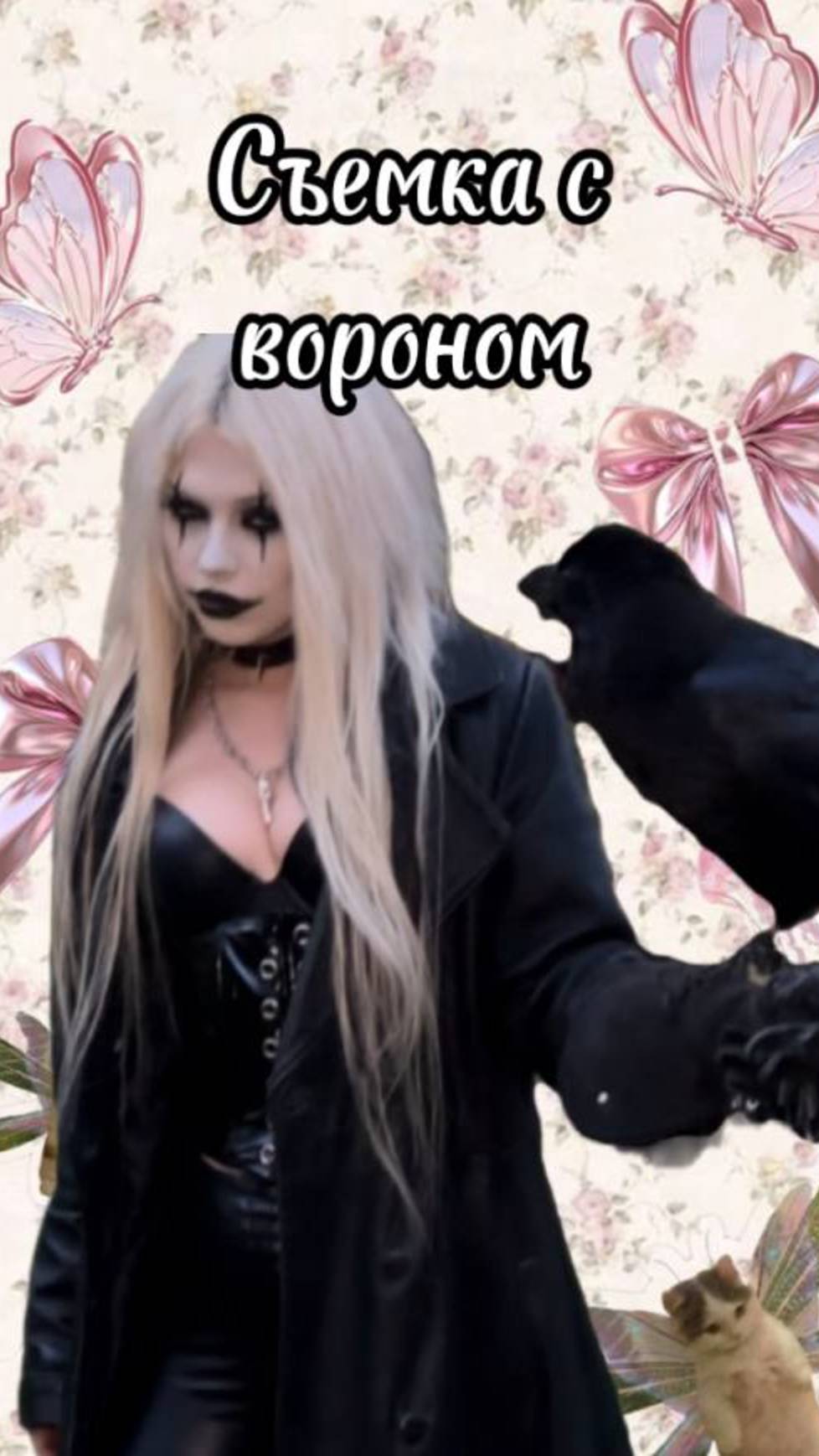 Съемка с вороной