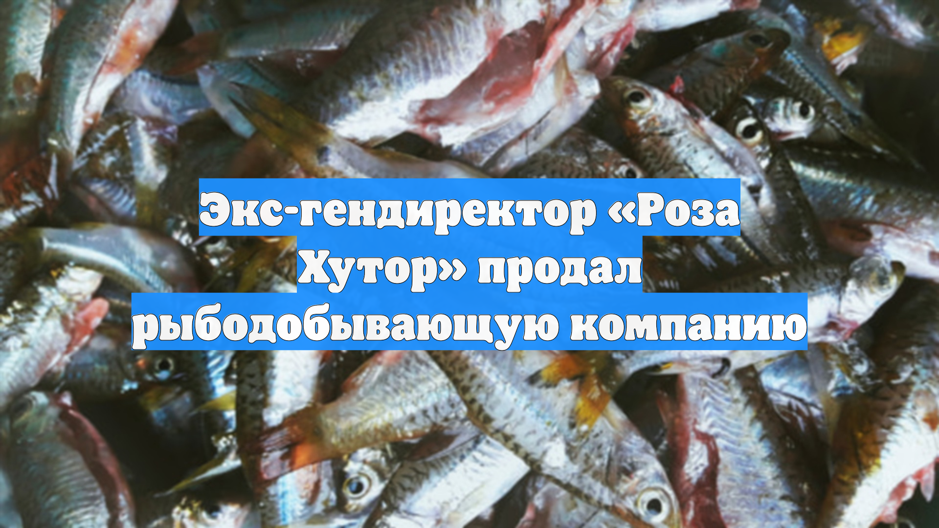 Экс-гендиректор Роза Хутор продал рыбодобывающую компанию
