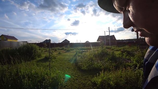 242. Все в делах