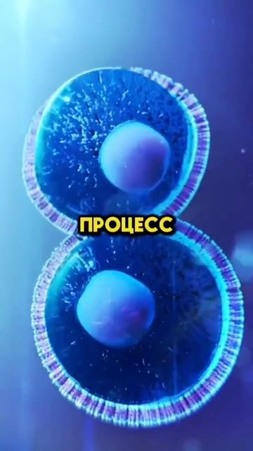 Что будет если ты не будешь есть 36 часов?