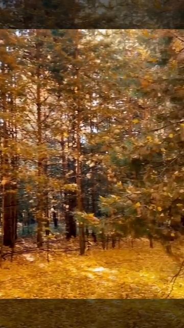 Танец осени с ветром