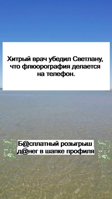 Короткие анекдоты свежие 13 октября 2025